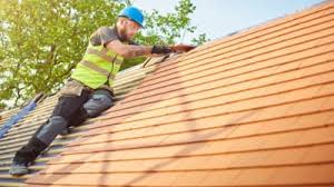 Best Roof Maintenance and Cleaning  in Donna, TX